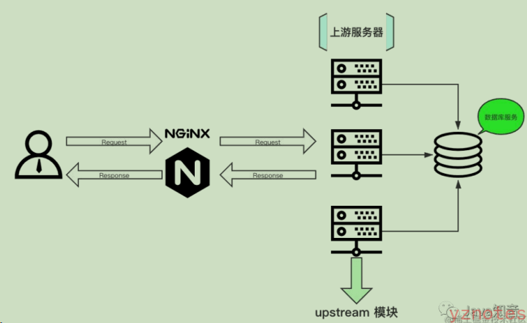 image-20240124131143877
